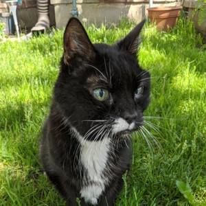 Meet your Posher, Nina